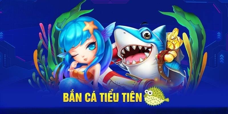 Các phòng chơi cơ bản