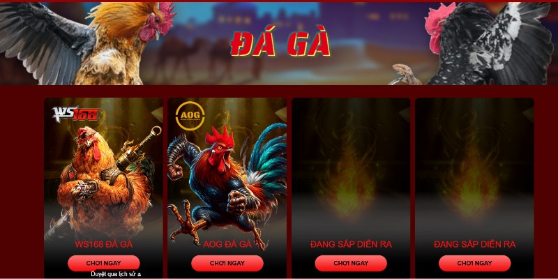 Vài nét về chuyên mục đá gà Hello88